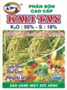 kalitan