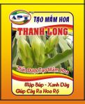 Tạo mầm hoa