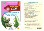 Siêu tăng trưởng GIN